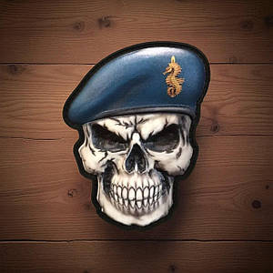 Шеврони Морська піхота