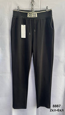 Жіночі штани бавовна трикотаж батал
