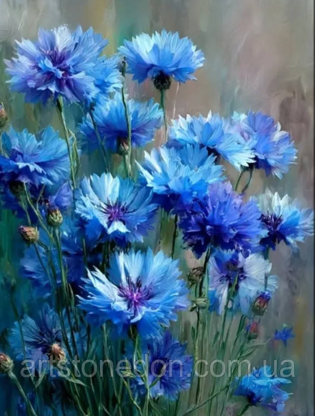 Картина на полотні Сині волошки, фото 1