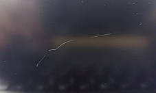 Б/в Ноутбук Б-клас Dell Precision 5550 15.6" 1920x1080| Core i7-10850H| 32 GB RAM| 512 GB SSD| Quadro T1000 4GB, фото 2