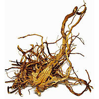 Червоний болотний корінь L (35-50см)