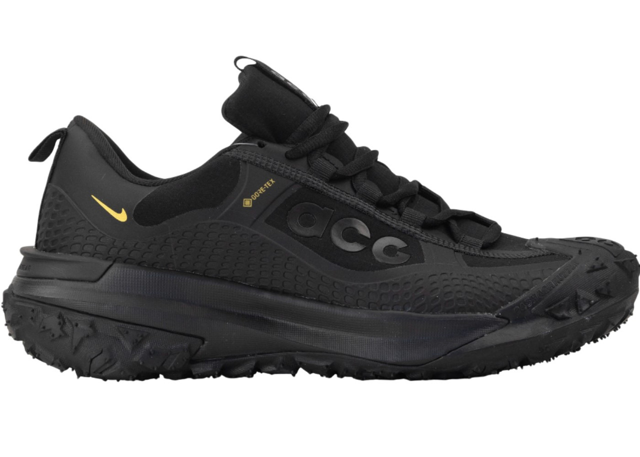 Кросівки Nike ACG Mountain Fly 2 Low Gore-Tex Triple Black - HF6245-001