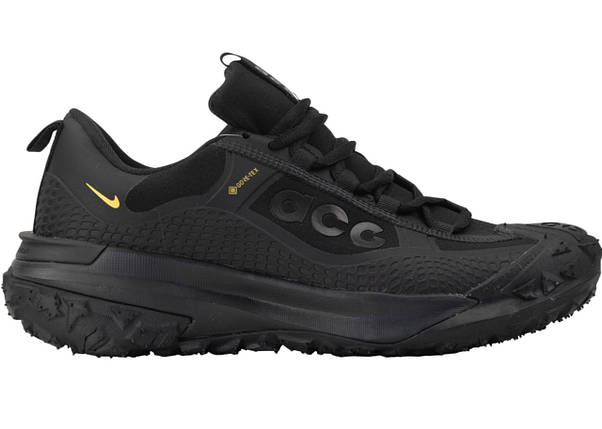 Кросівки Nike ACG Mountain Fly 2 Low Gore-Tex Triple Black - HF6245-001, фото 1
