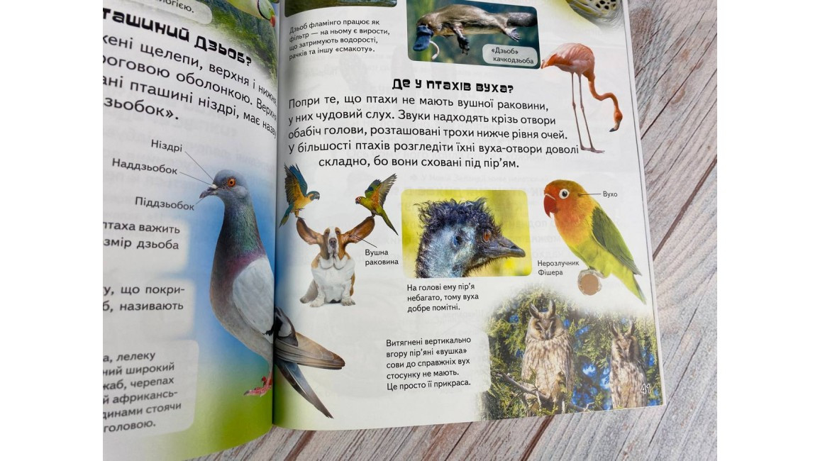 Product image preview