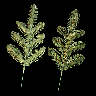 Гілка Хвойна Пластик Лита, Довжина: 250мм, Діаметр Хвої: 40мм, Колір: Зелений (1 шт.)