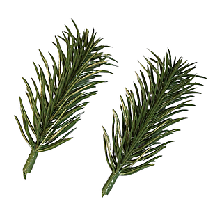 Гілка Хвойна Пластик Лита, Довжина: 80мм, Діаметр Хвої: 35мм, Колір: Зелений (1 шт.)