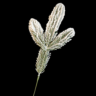 Гілка Хвойна Пластик Лита Зелена Засніжена, Довжина: 200мм, Відростки: 90мм, Діаметр Хвої: 40мм (1 шт.)