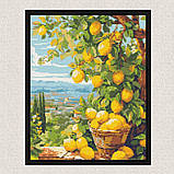 Алмазна мозаїка/вишивка Лимонне дерево 40*50 см Орігамі OD 3490, фото 6