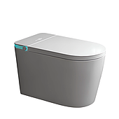 Розумні смарт унітази