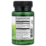 Swanson Лактобактерії рамнозус із ФОС, 60 веганських капсул, фото 2