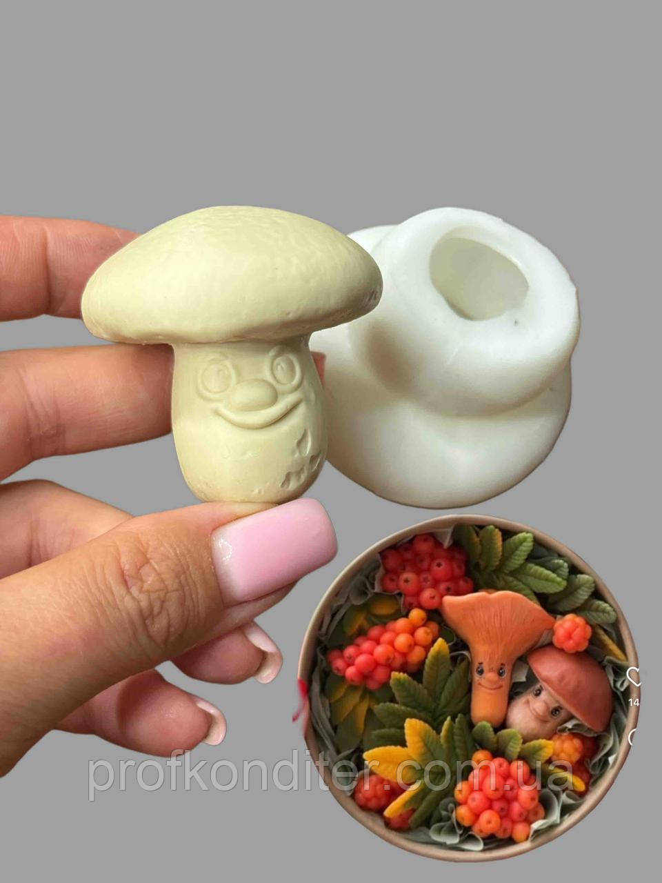 Силіконовий Молд для шоколаду, карамелі, мастики та ін "Гриб БОРОВИК в ЗД форматі", фото 1