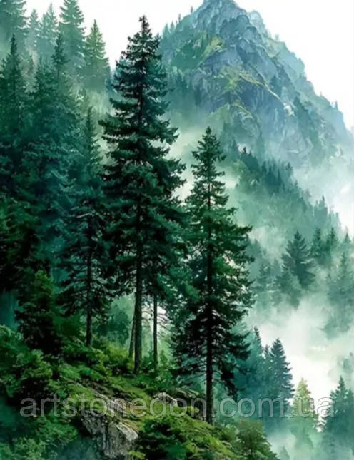 Картина «Гірський ліс у тумані» – настінний декор у сучасному стилі, фото 1