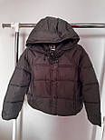Жіноча осінь-зима куртка з капюшоном на холофайбері — стильна та тепла куртка осінь-зима (розміри M, L, XL), фото 9