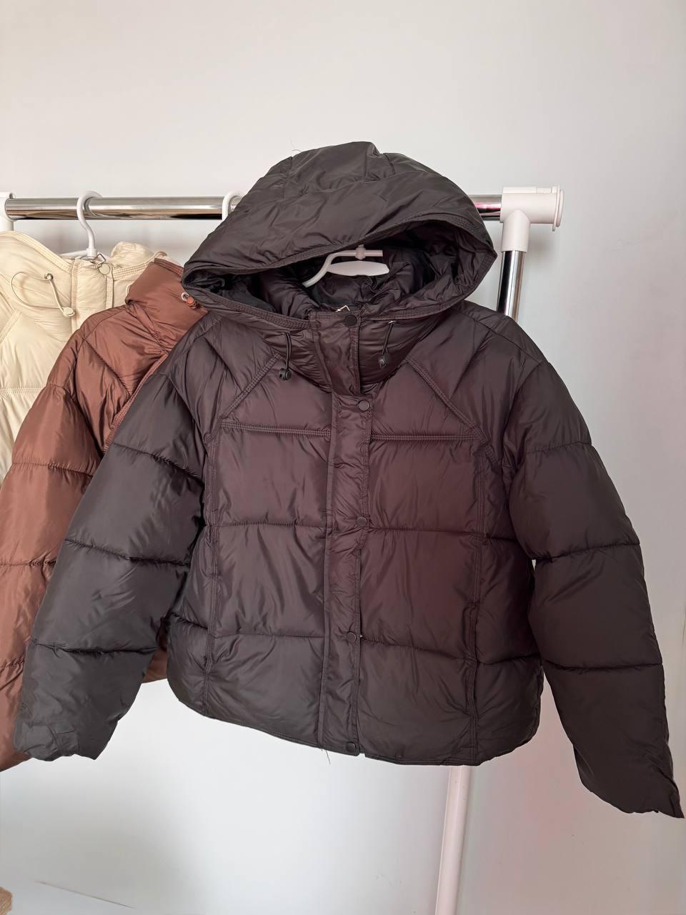 Жіноча осінь-зима куртка з капюшоном на холофайбері — стильна та тепла куртка осінь-зима (розміри M, L, XL), фото 1