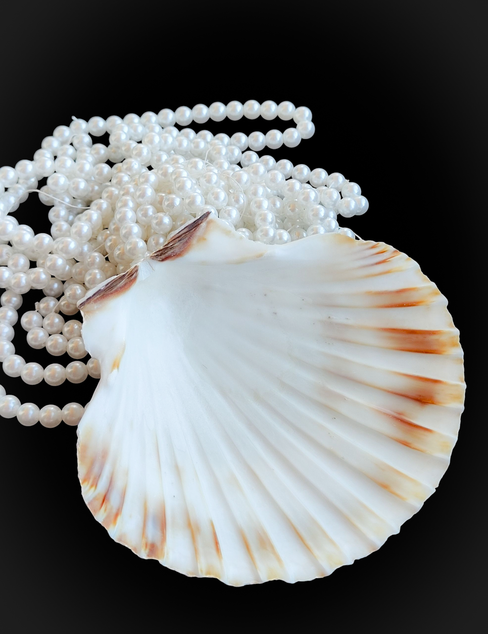 Натуральна мушля. Справжня ракушка. Декор., фото 1