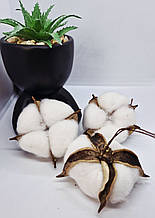 Бавовна на дроті. 6 см. 1 шт.