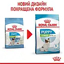 Royal Canin X-Small Puppy 500 г для цуценят мініатюрних порід вагою до 4 кг від 2 до 10 місяців сухий корм, фото 2