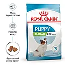 Royal Canin X-Small Puppy 500 г для цуценят мініатюрних порід вагою до 4 кг від 2 до 10 місяців сухий корм, фото 3