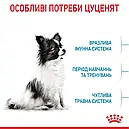 Royal Canin X-Small Puppy 500 г для цуценят мініатюрних порід вагою до 4 кг від 2 до 10 місяців сухий корм, фото 4