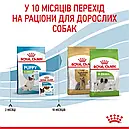Royal Canin X-Small Puppy 500 г для цуценят мініатюрних порід вагою до 4 кг від 2 до 10 місяців сухий корм, фото 7
