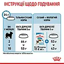 Royal Canin X-Small Puppy 500 г для цуценят мініатюрних порід вагою до 4 кг від 2 до 10 місяців сухий корм, фото 9