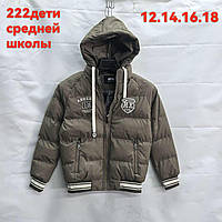 Зимова куртка підлітковий період під гумку ЛОГОТИП для хлопчика 8-12 років, колір хакі