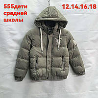 Зимова куртка підлітковий період під гумку ЛОГОТИП для хлопчика 8-12 років, колір хакі