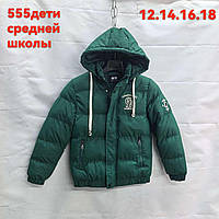 Зимова куртка підліткова стьобана під гумку ЛОГОТИП для хлопчика 8-12 років, колір зелений