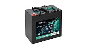 Акумулятор для крісла 12В, 12V, 12вольт, 60 ампер годин, ач, А‧год, тяговий, LiFePO4, скутер, EverExceed