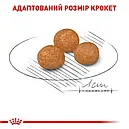 Royal Canin X-Small Adult 500 г мініатюрних порід від 10 місяців до 8 років сухий корм для собак, фото 5
