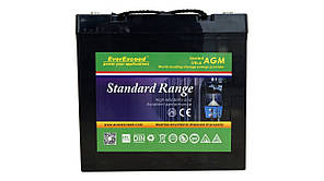 Батарея для електровізків 12V, 12В, 12Вольт, 55 Ah, ач, ампер годин, EverExceed, для інвалідного візка, скутер