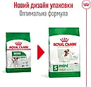 Royal Canin Mini Adult 800 г дрібних порід вагою до 10 кг від 10 місяців сухий корм для собак, фото 2