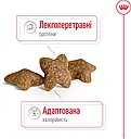 Royal Canin Mini Adult 800 г дрібних порід вагою до 10 кг від 10 місяців сухий корм для собак, фото 4