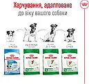 Royal Canin Mini Adult 800 г дрібних порід вагою до 10 кг від 10 місяців сухий корм для собак, фото 6