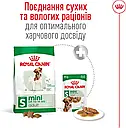 Royal Canin Mini Adult 800 г дрібних порід вагою до 10 кг від 10 місяців сухий корм для собак, фото 7