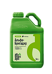 Гербіцид АЛЬФА БРИГАДИР (д.р. : десмедифам, 71 г/л + фенмедифам, 91 г/л + етофумезат, 112 г/л.), тара - 5л. ALFA Smart Agro