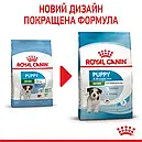 Royal Canin Puppy Mini 800 г цуценят дрібних порід вагою до 10 кг від 2 до 10 місяців сухий корм, фото 2