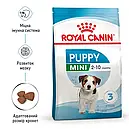 Royal Canin Puppy Mini 800 г цуценят дрібних порід вагою до 10 кг від 2 до 10 місяців сухий корм, фото 3