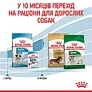 Royal Canin Puppy Mini 800 г цуценят дрібних порід вагою до 10 кг від 2 до 10 місяців сухий корм, фото 7