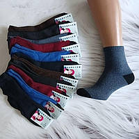 Шкарпетки жіночі махрові Житомир 37-40 однотон | 12 пар