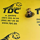 02/100192 Термостат