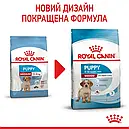 Royal Canin Medium Puppy до 12 місяців 4 кг для цуценят середніх порід сухий корм, фото 2