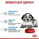 Royal Canin Medium Puppy до 12 місяців 4 кг для цуценят середніх порід сухий корм, фото 5