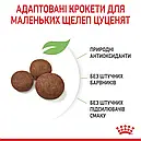 Royal Canin Medium Puppy до 12 місяців 4 кг для цуценят середніх порід сухий корм, фото 6