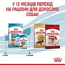 Royal Canin Medium Puppy до 12 місяців 4 кг для цуценят середніх порід сухий корм, фото 7