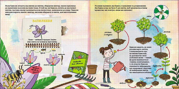 Як мурахи рятуються від повені?, фото 3