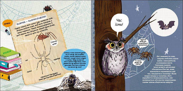 Як мурахи рятуються від повені?, фото 4