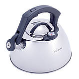 Чайник 3 л Kamille із нержавіючої сталі зі свистком та термометром, фото 2