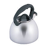 Чайник свистячий 2,7 л Kamille з нержавіючої сталі, фото 3