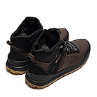 Чоловічі зимові шкіряні черевики  Winter E-series biom Brown, фото 4